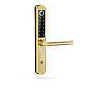 Elvia e1 oro