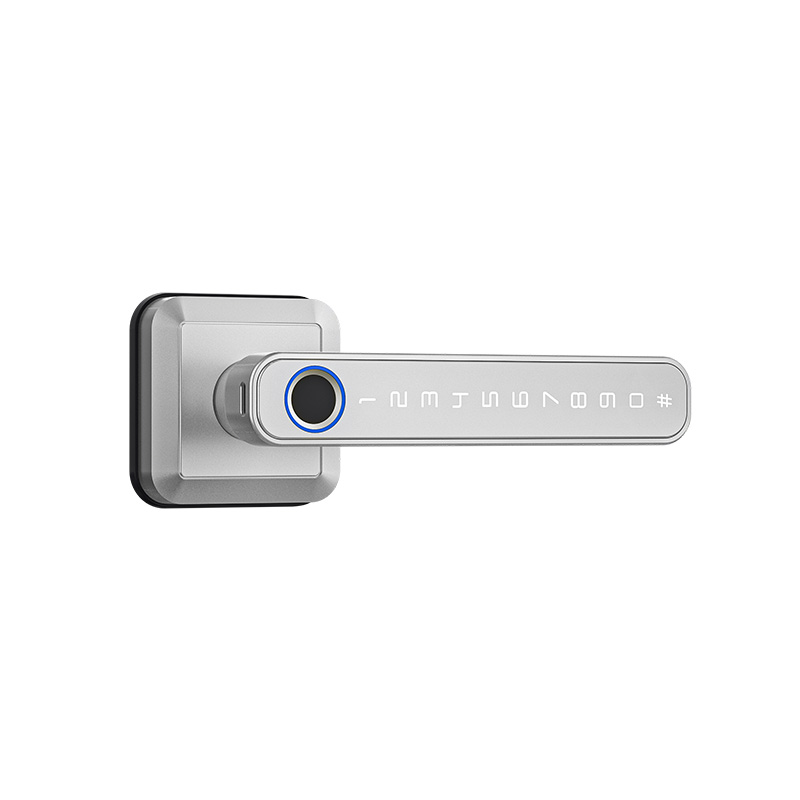 HANDLE T5 COLOR PLATA