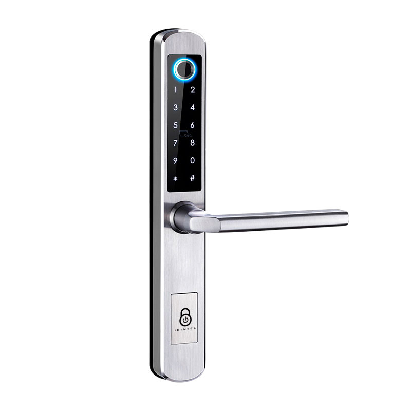 IBINTEL ELVIA E1 PLATA MT 6085