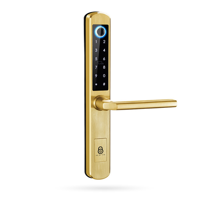 IBINTEL ELVIA E1 ORO MT 5085