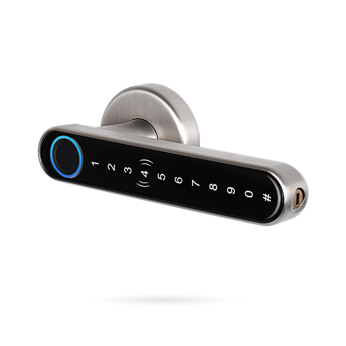 HANDLE T6 COLOR PLATA