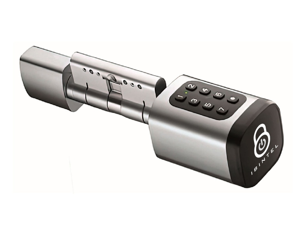 IBINTEL KATIA K2 PLATA