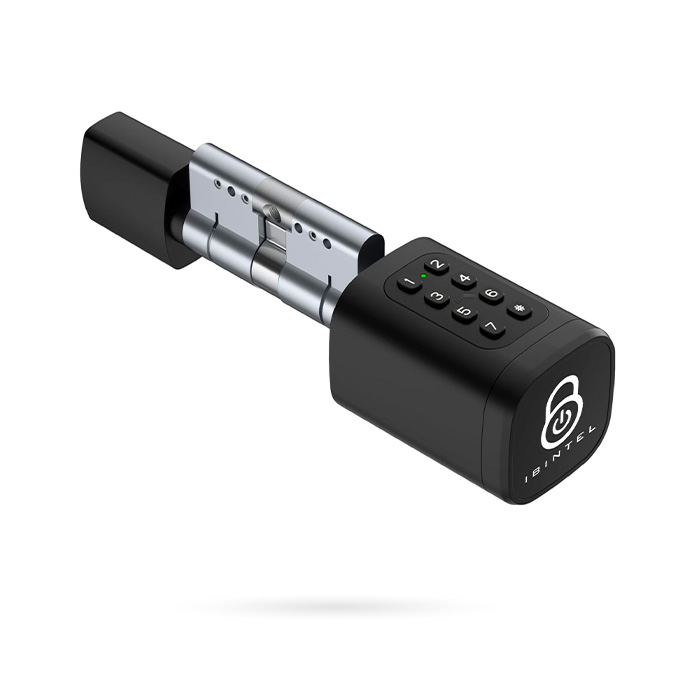 IBINTEL KATIA K2 NEGRO