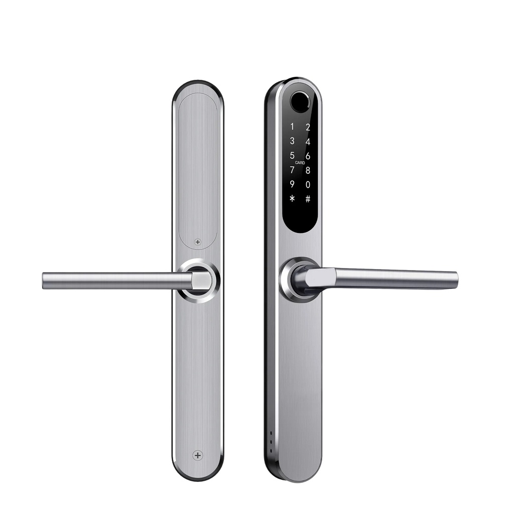 IBINTEL ELVIA E2 PLATA