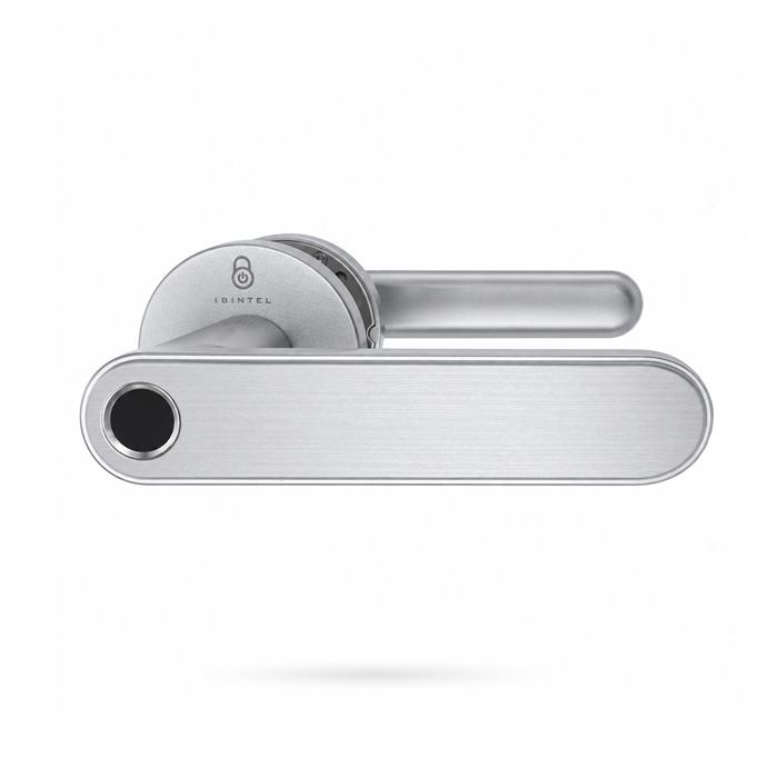 [CNCRBT000045] IBINTEL NORA N3 PLATA